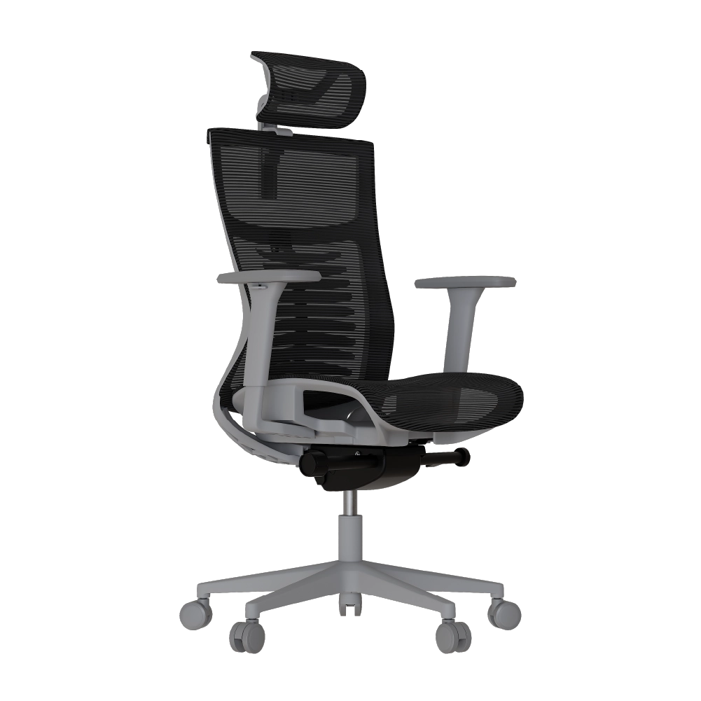 Cadeira Ergonômica Elements Vertta Special